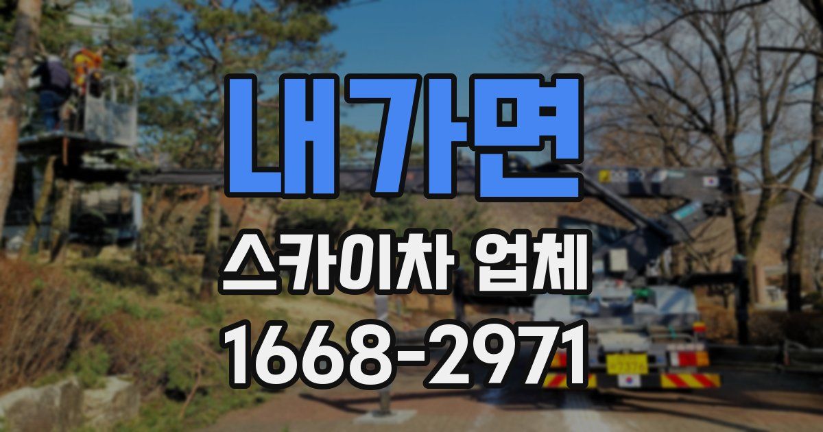 내가면 스카이차 업체