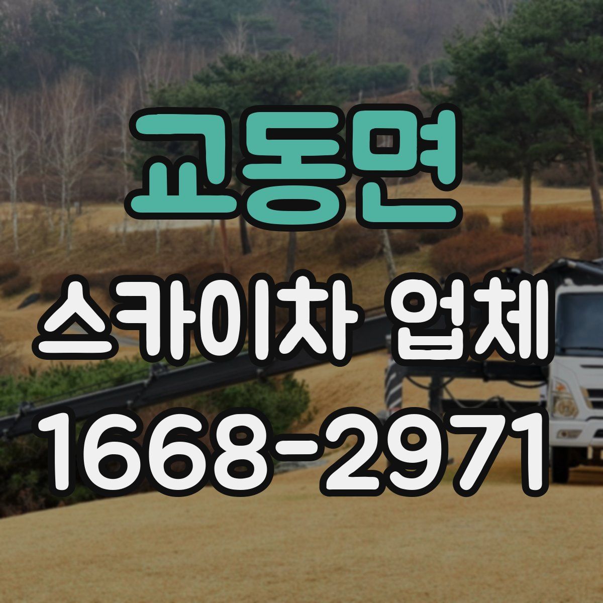 교동면 스카이차 업체