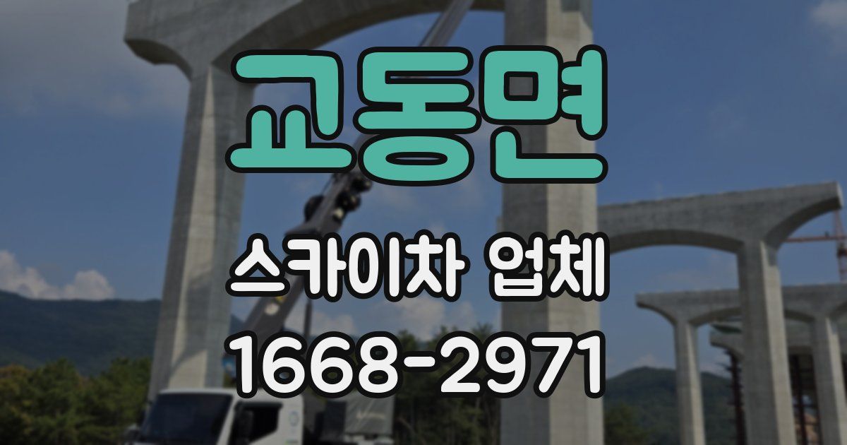 교동면 스카이차 업체