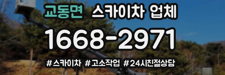 교동면 스카이차 업체