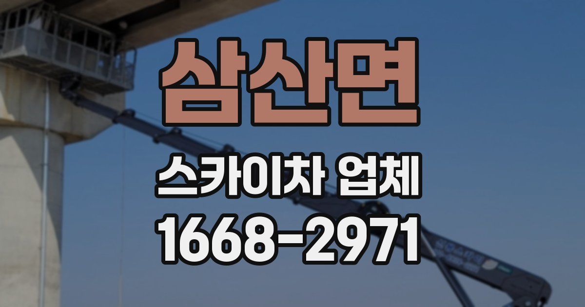 삼산면 스카이차 업체