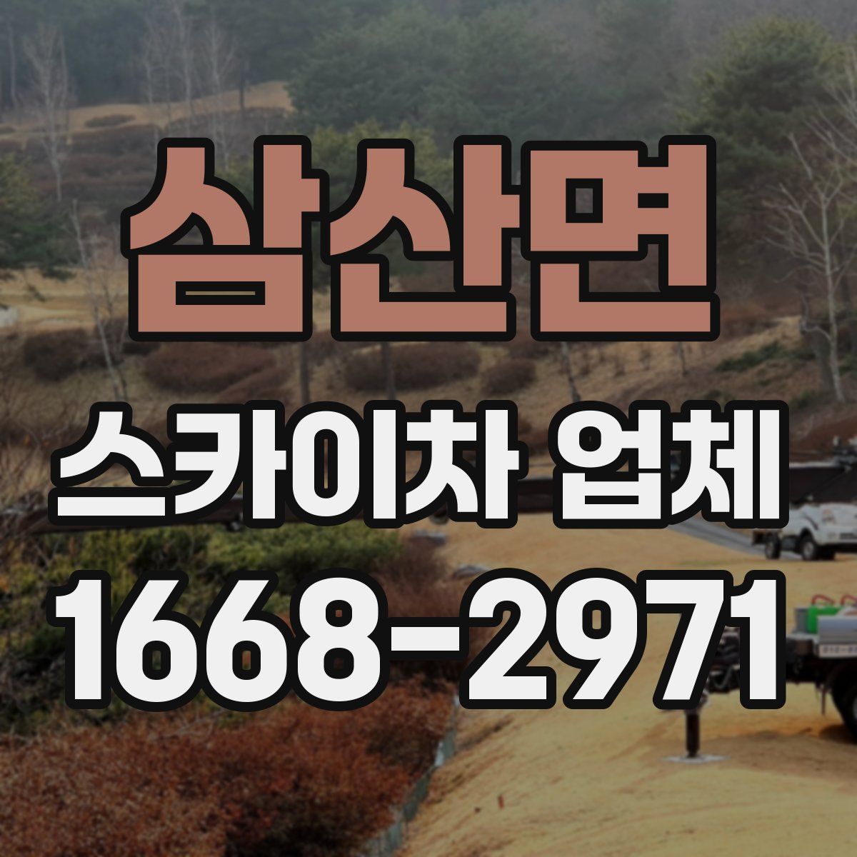 삼산면 스카이차 업체