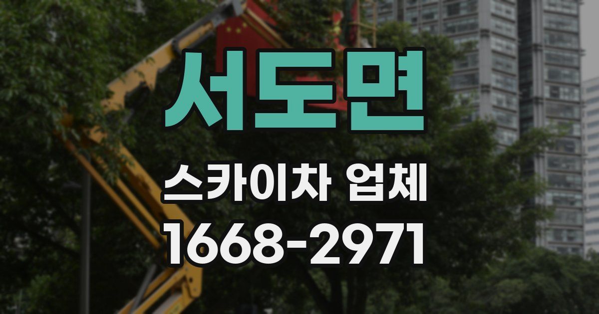 서도면 스카이차 업체
