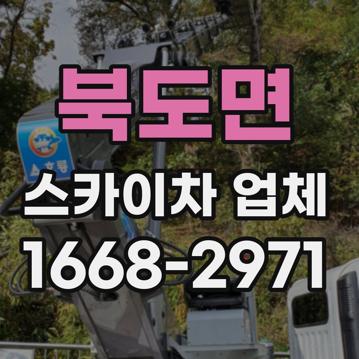 북도면 스카이차 업체
