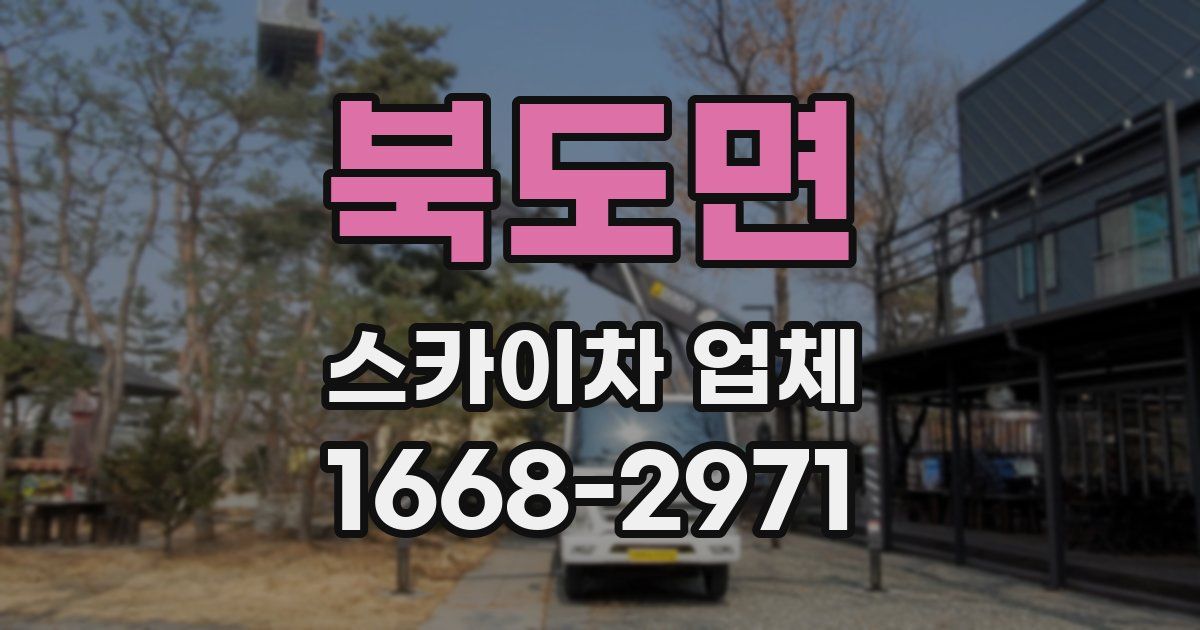북도면 스카이차 업체