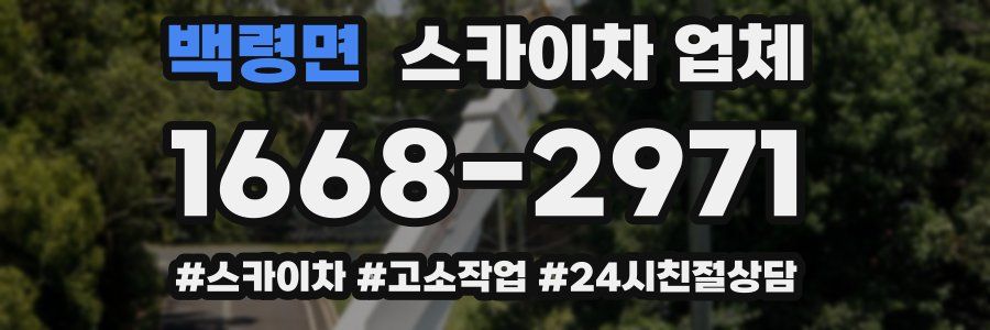 백령면 스카이차 업체