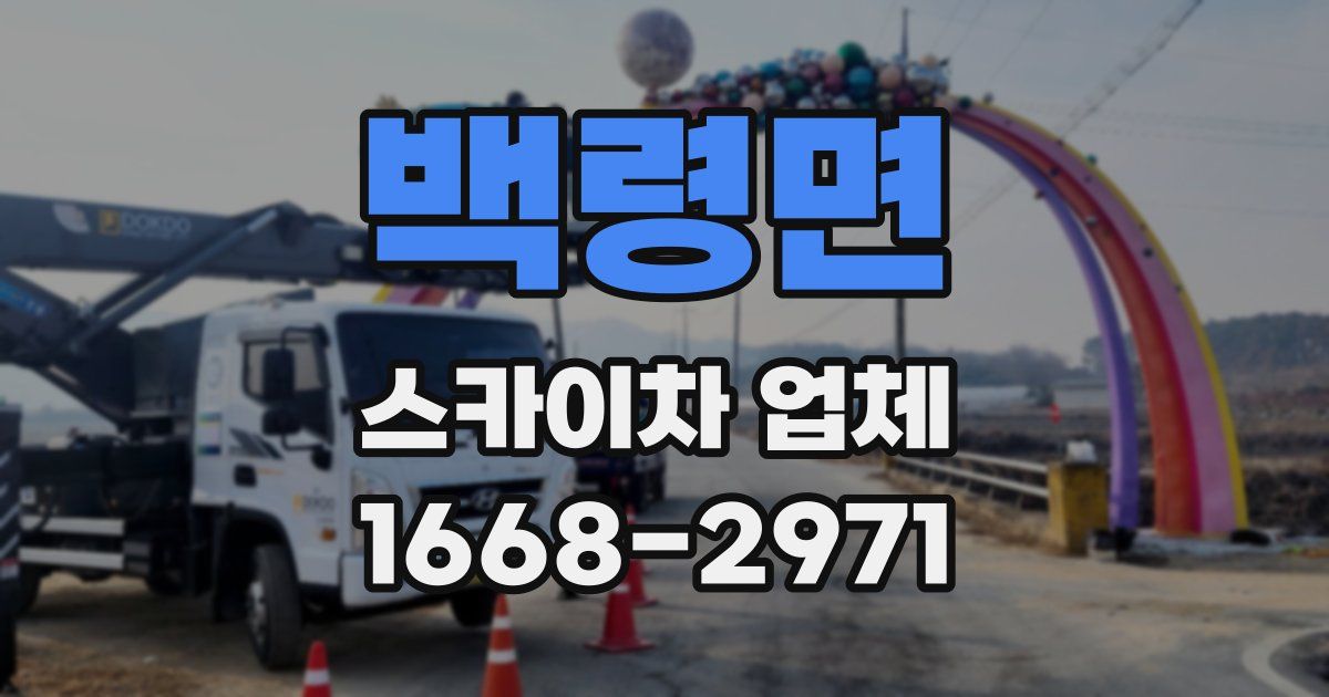 백령면 스카이차 업체