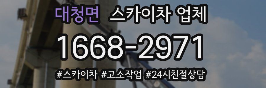 대청면 스카이차 업체