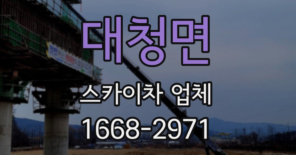 대청면 스카이차 업체