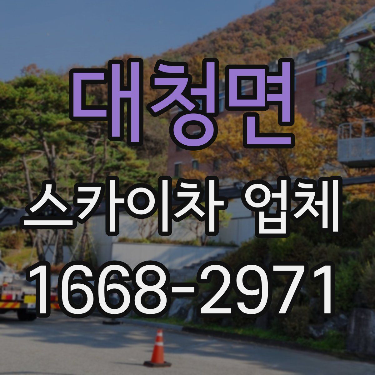 대청면 스카이차 업체