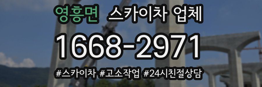 영흥면 스카이차 업체