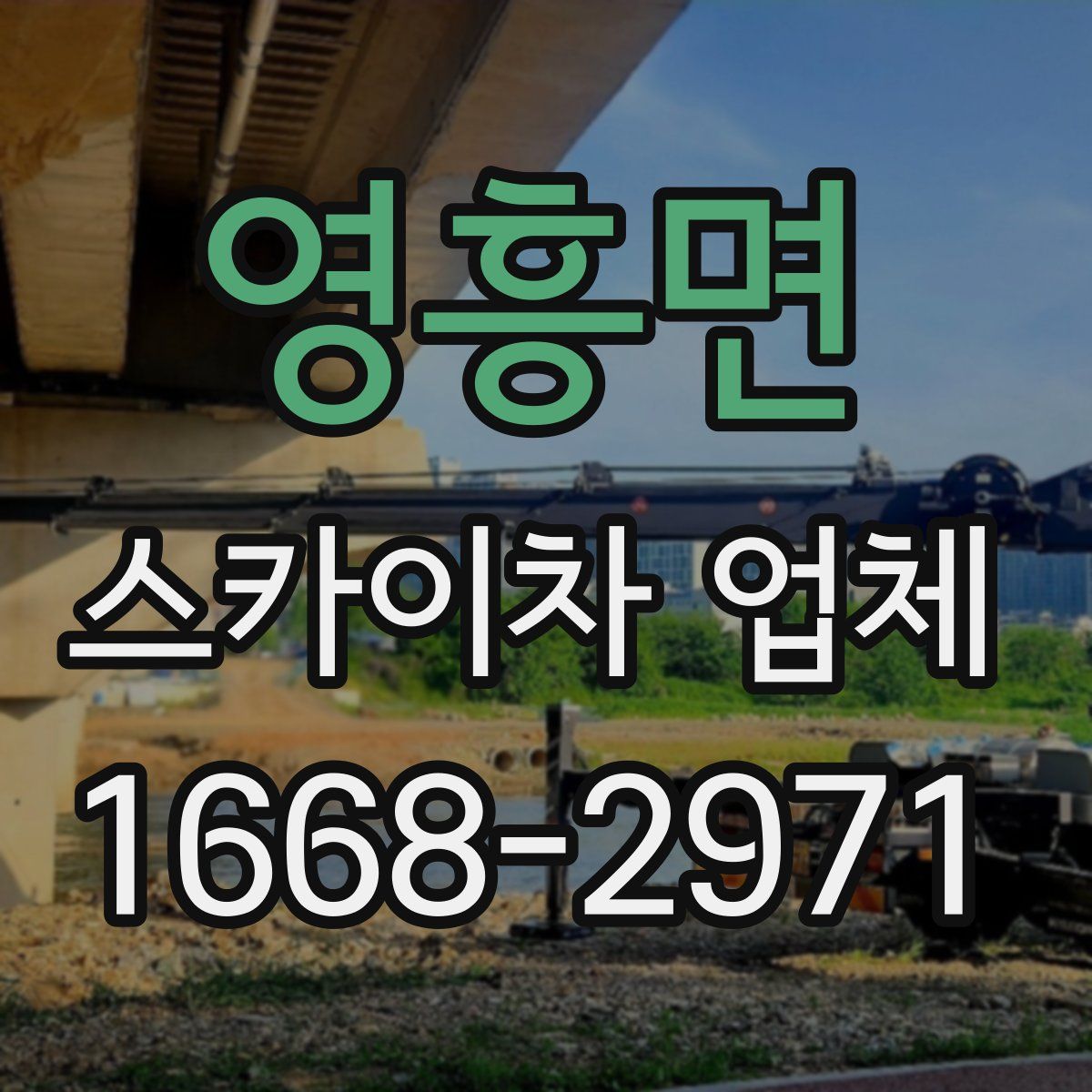 영흥면 스카이차 업체
