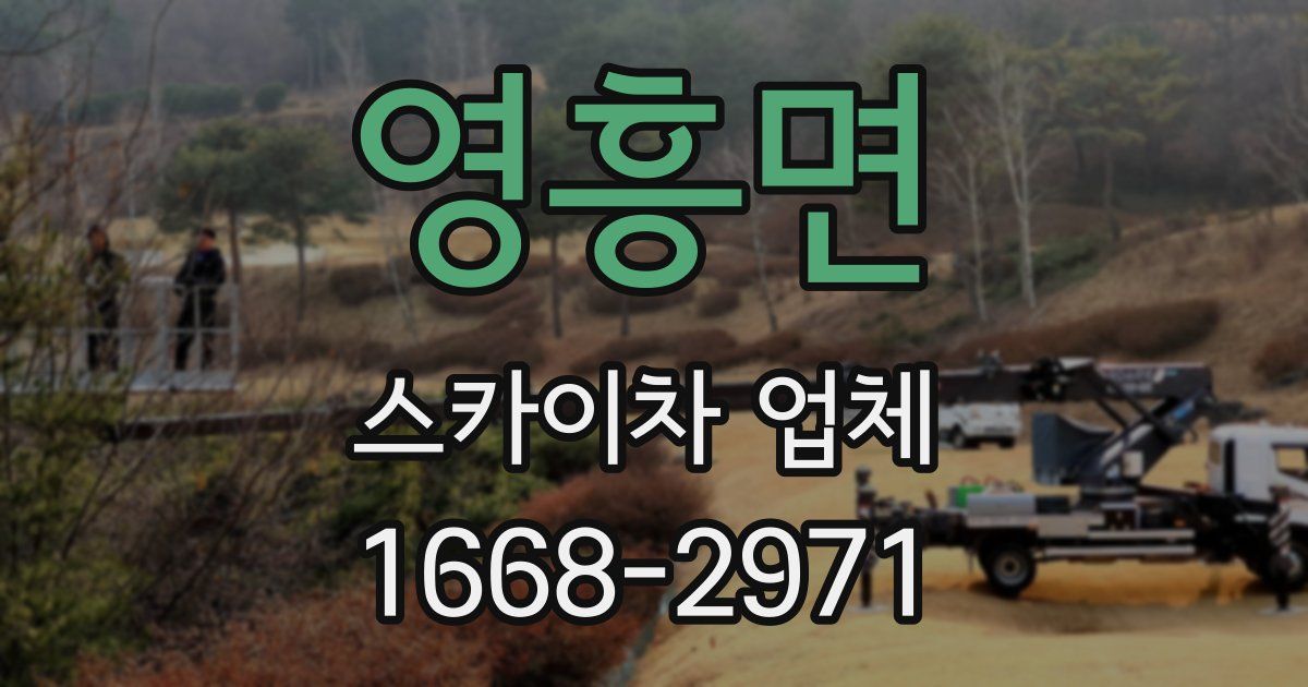 영흥면 스카이차 업체