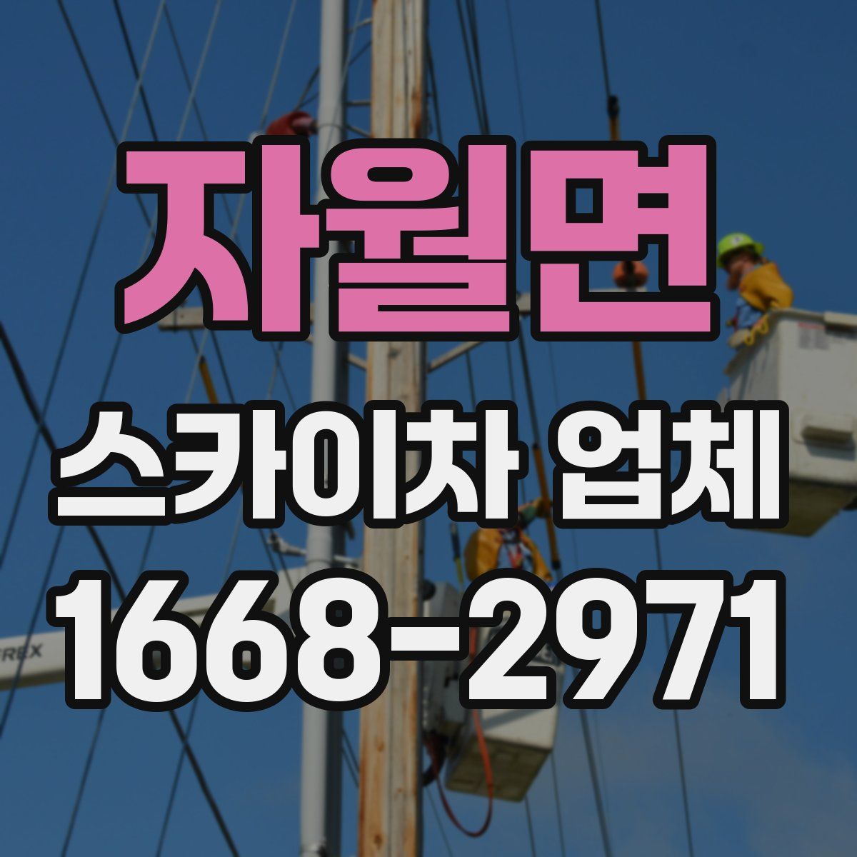 자월면 스카이차 업체