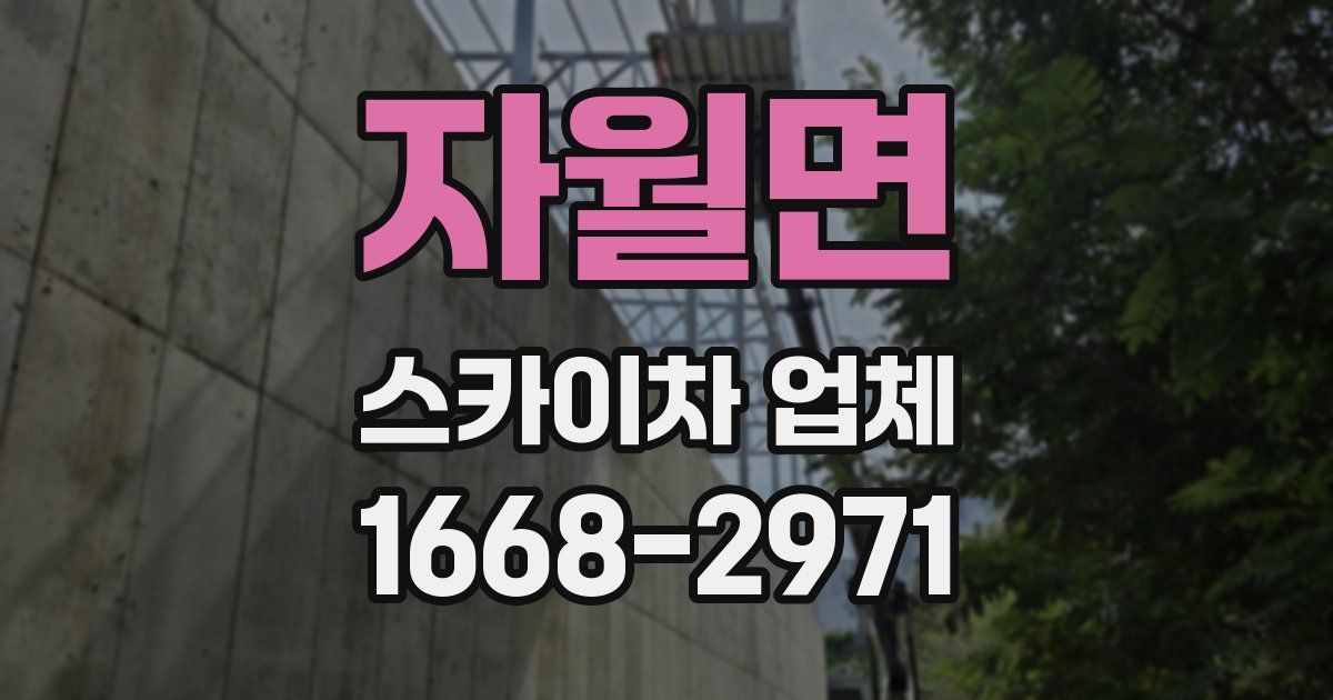 자월면 스카이차 업체