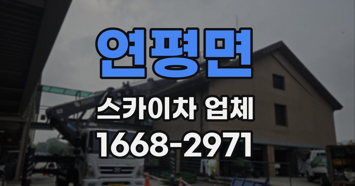 연평면 스카이차 업체
