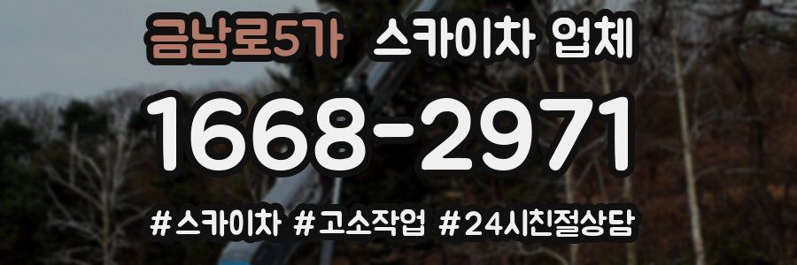 금남로5가 스카이차 업체