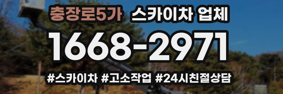 충장로5가 스카이차 업체