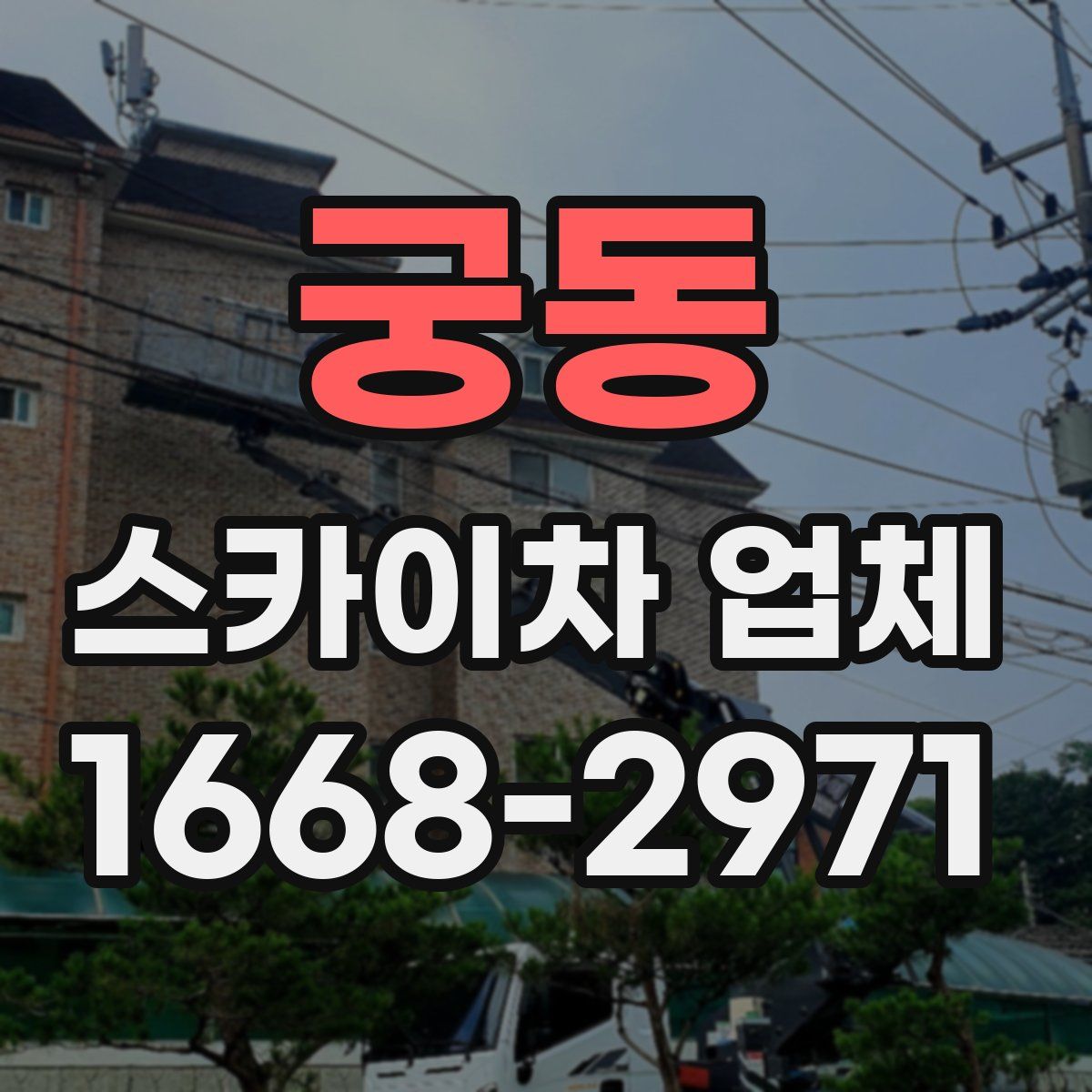 궁동 스카이차 업체