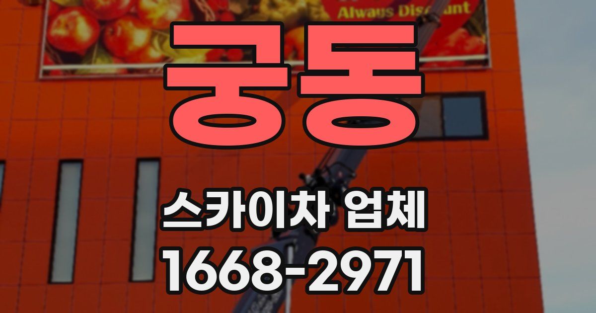궁동 스카이차 업체