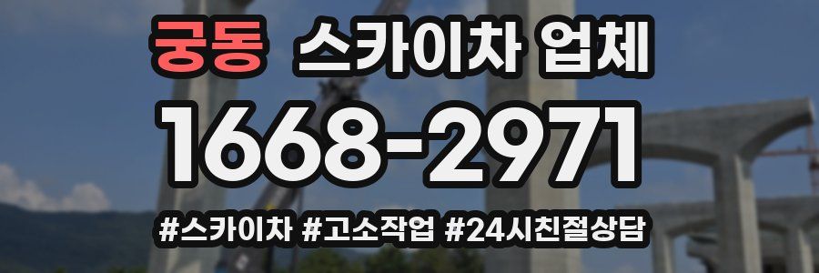 궁동 스카이차 업체