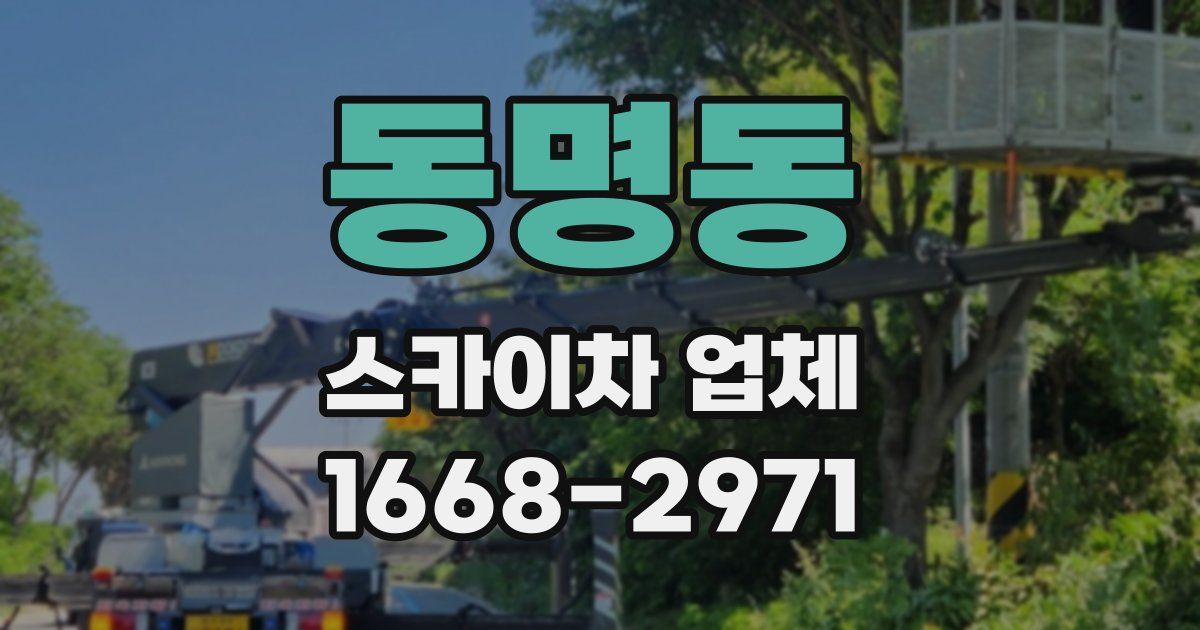 동명동 스카이차 업체