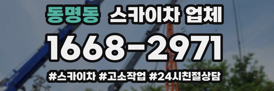 동명동 스카이차 업체
