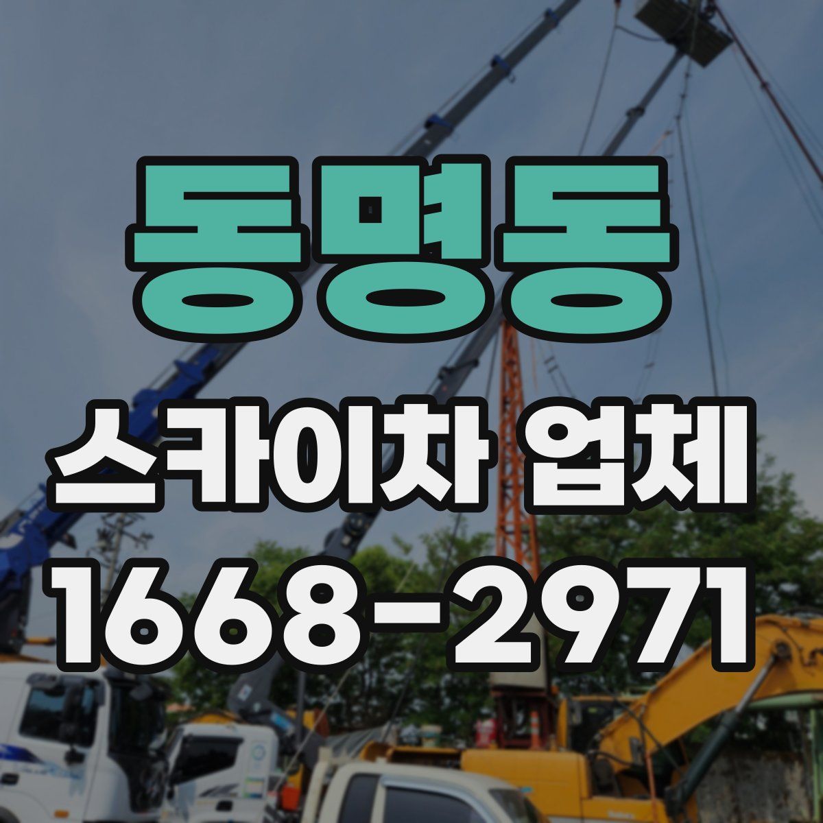 동명동 스카이차 업체