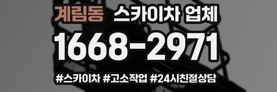 계림동 스카이차 업체