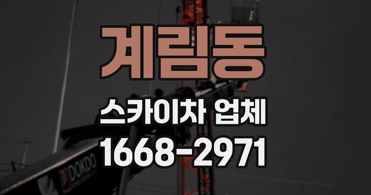 계림동 스카이차 업체