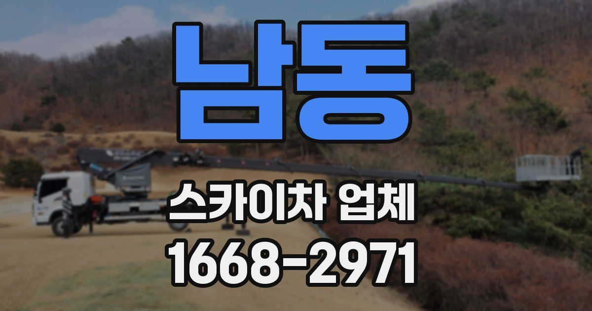 남동 스카이차 업체
