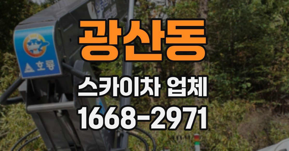 광산동 스카이차 업체