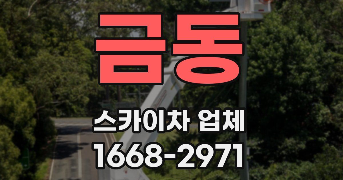 금동 스카이차 업체