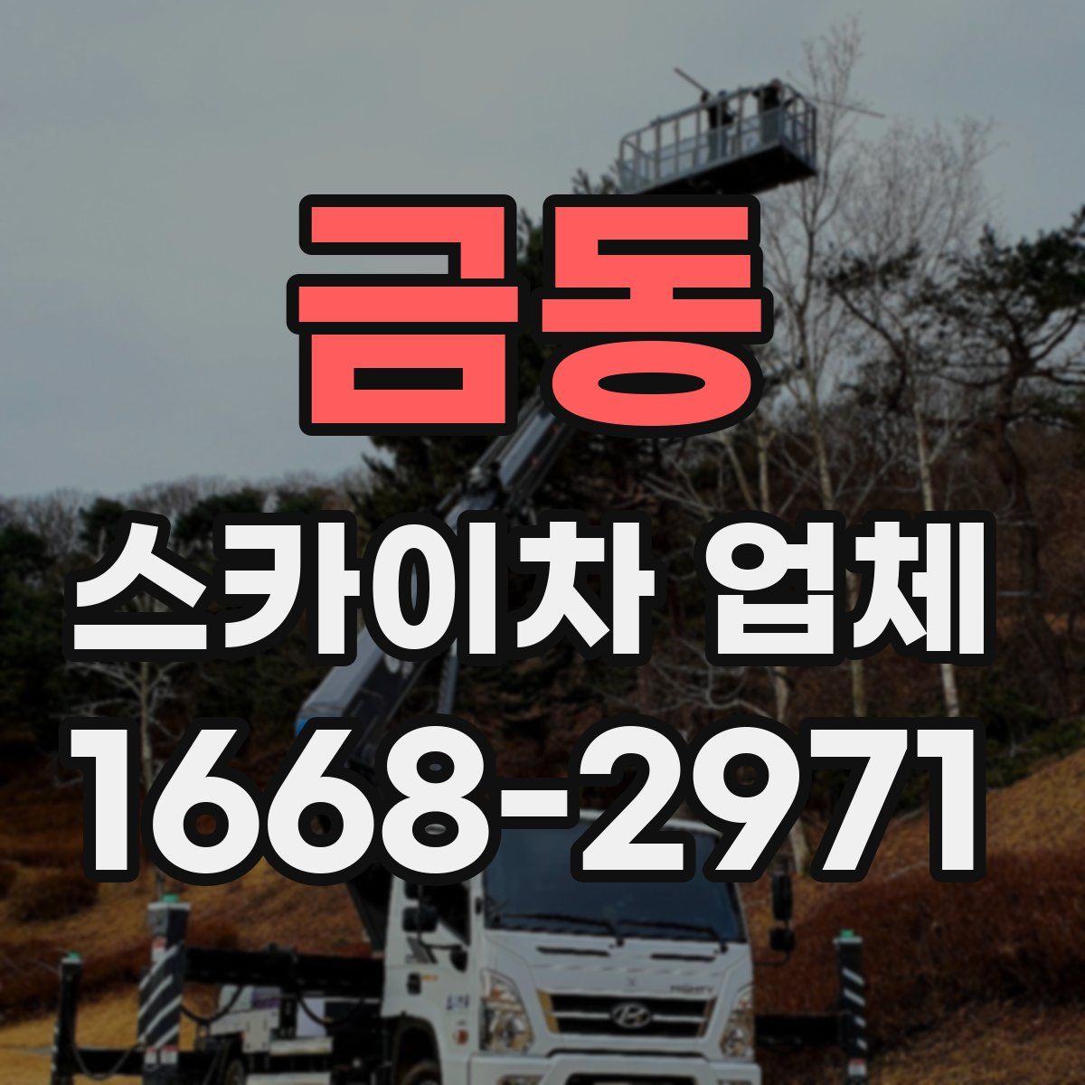 금동 스카이차 업체