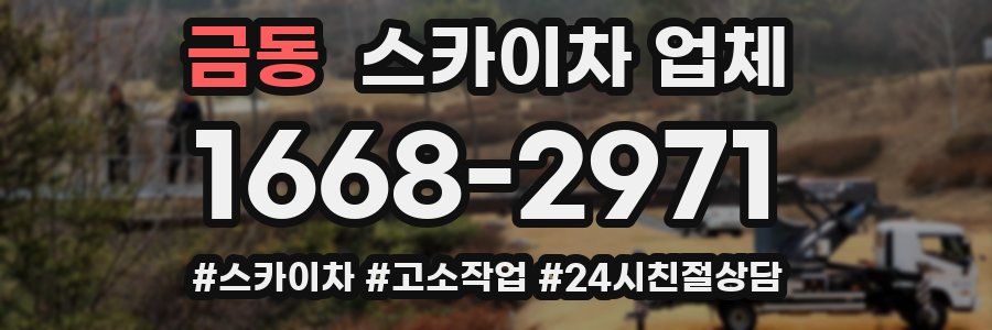 금동 스카이차 업체