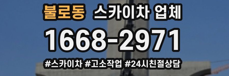 불로동 스카이차 업체
