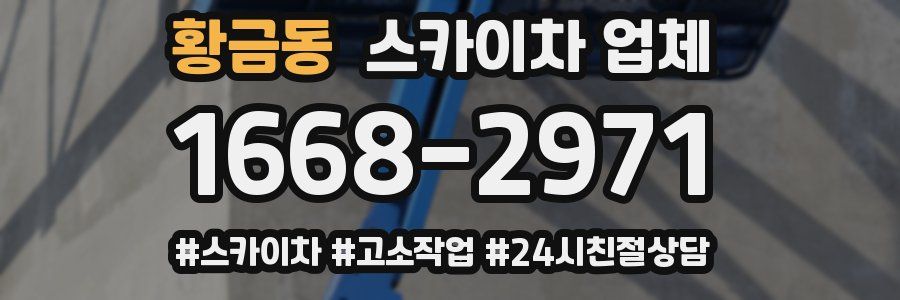 황금동 스카이차 업체