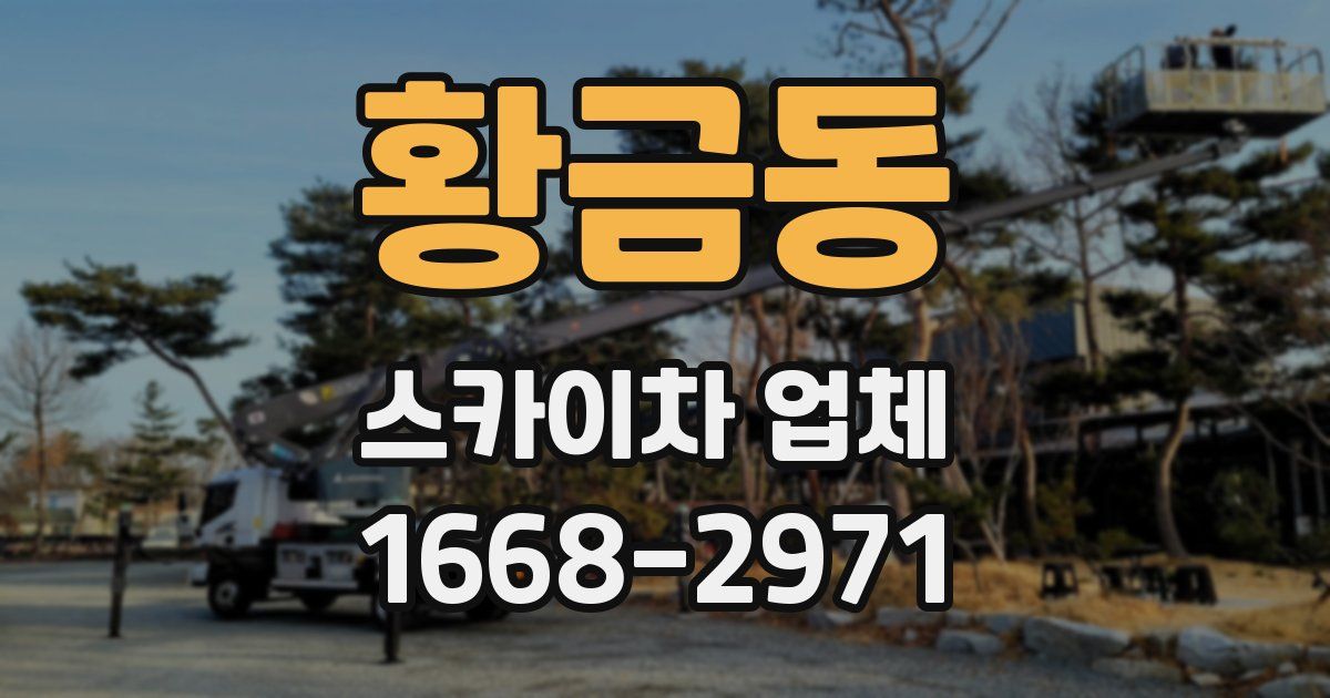 황금동 스카이차 업체