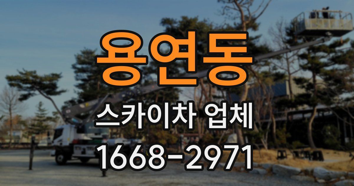 용연동 스카이차 업체