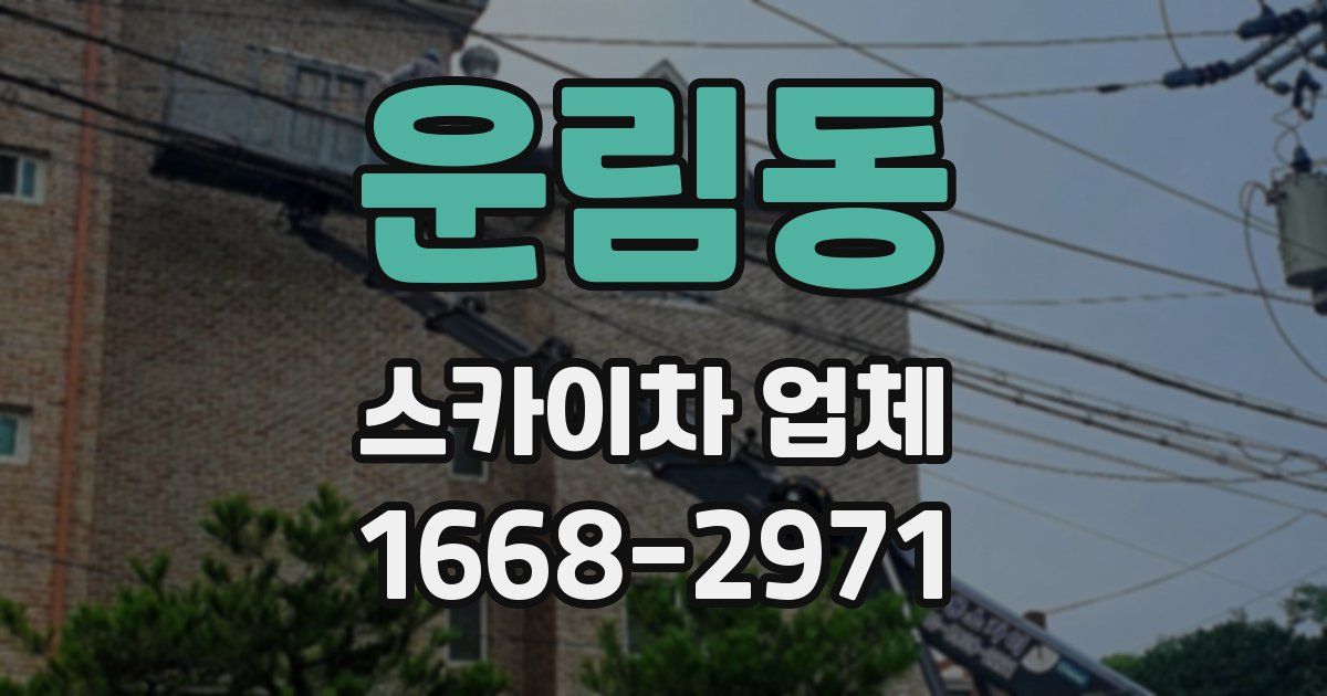운림동 스카이차 업체