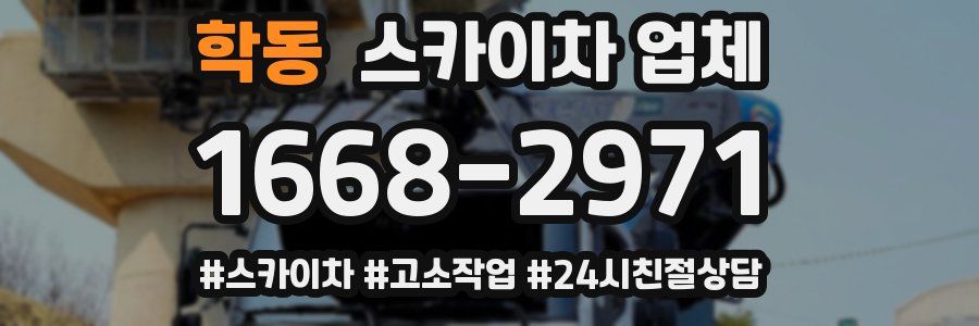 학동 스카이차 업체