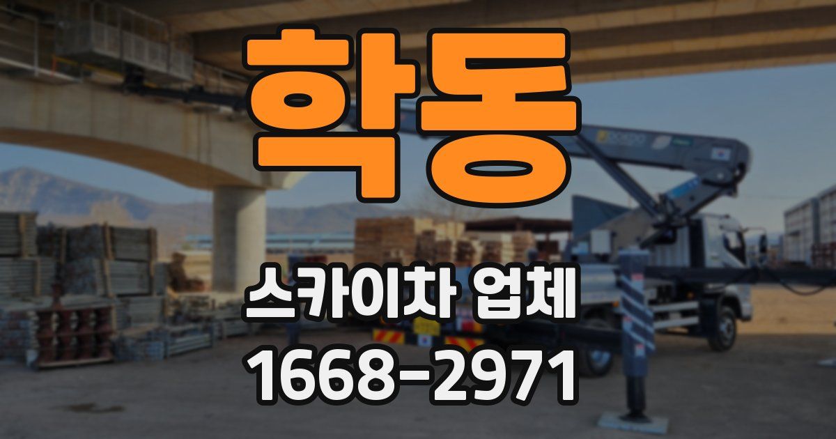 학동 스카이차 업체
