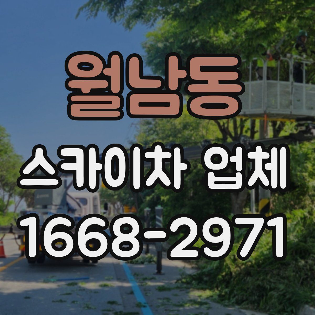 월남동 스카이차 업체