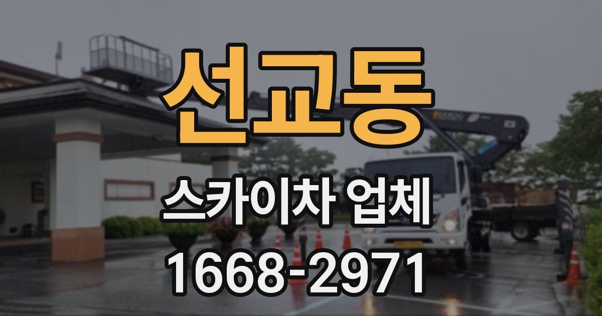 선교동 스카이차 업체