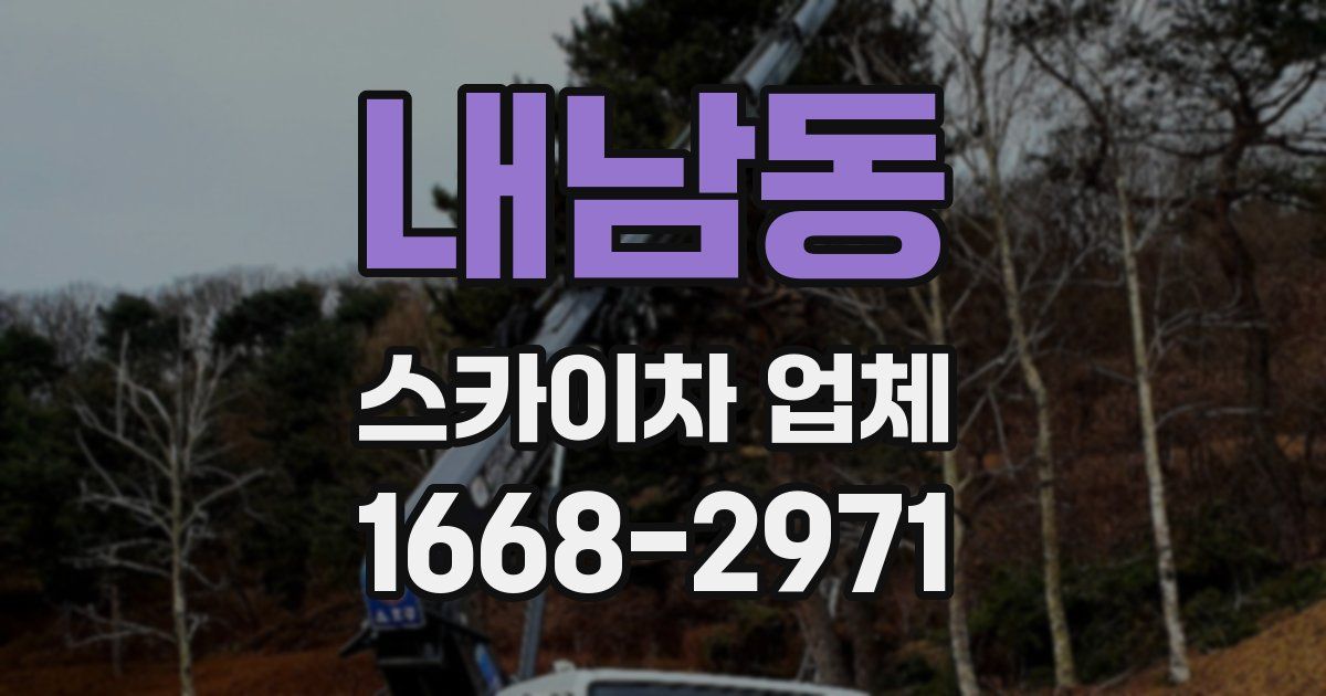 내남동 스카이차 업체