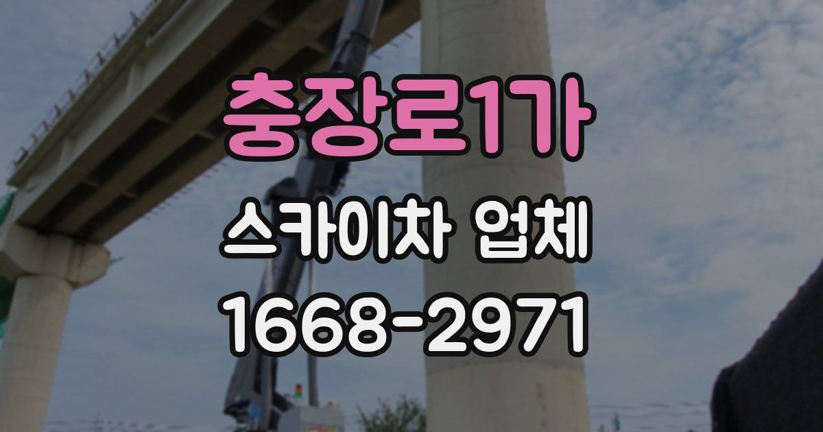충장로1가 스카이차 업체