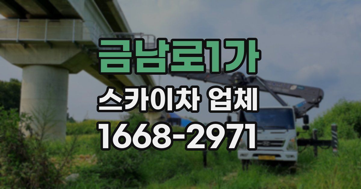 금남로1가 스카이차 업체