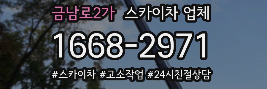 금남로2가 스카이차 업체