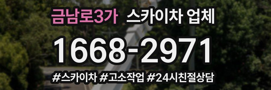 금남로3가 스카이차 업체