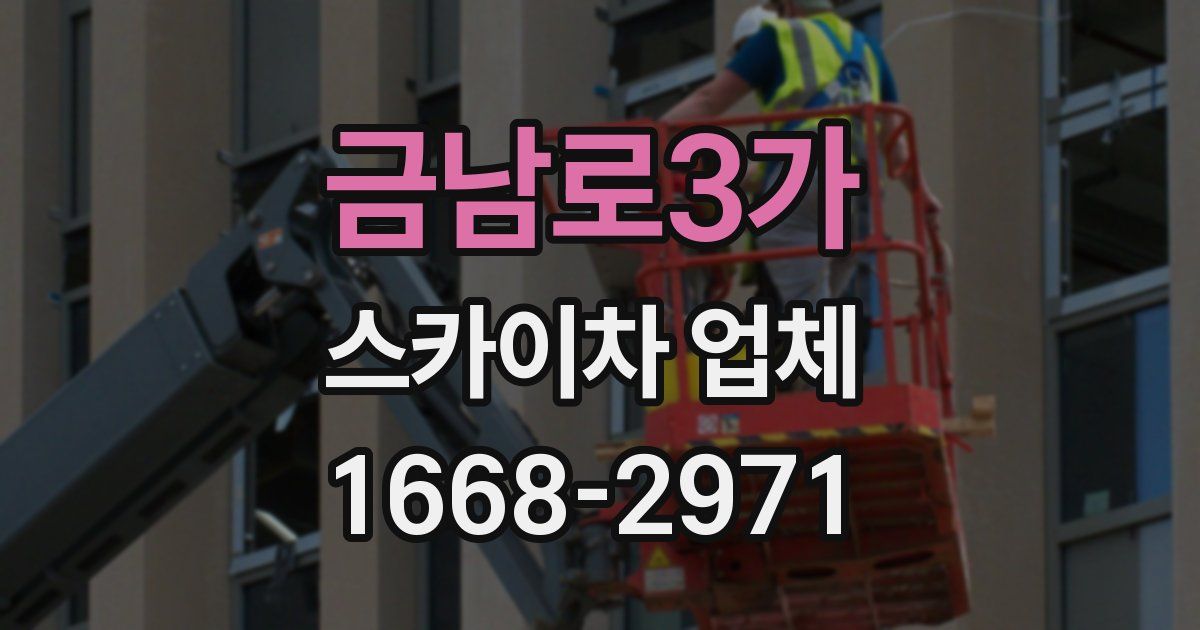금남로3가 스카이차 업체